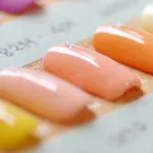 定額コース